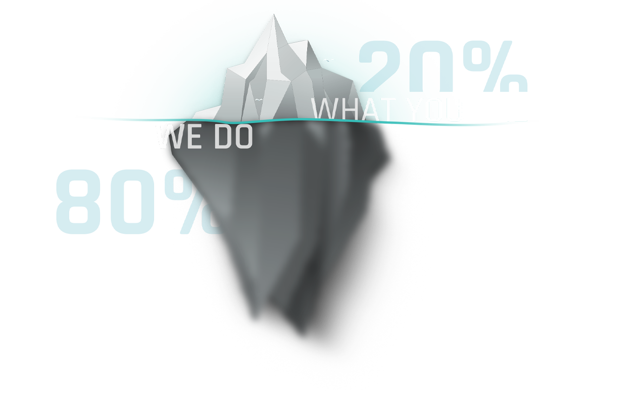 What We Do